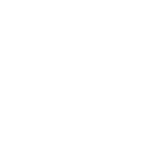 Live Icon